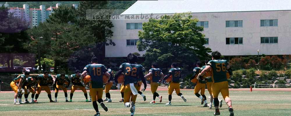 六条分类色带并排示意，标注颜色名称与对应大类